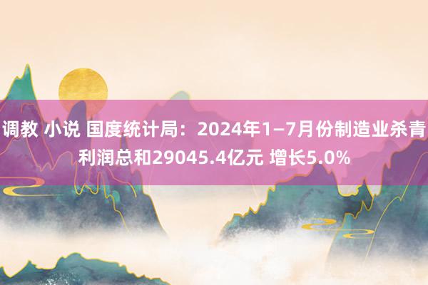 调教 小说 国度统计局：2024年1—7月份制造业杀青利润总和29045.4亿元 增长5.0%