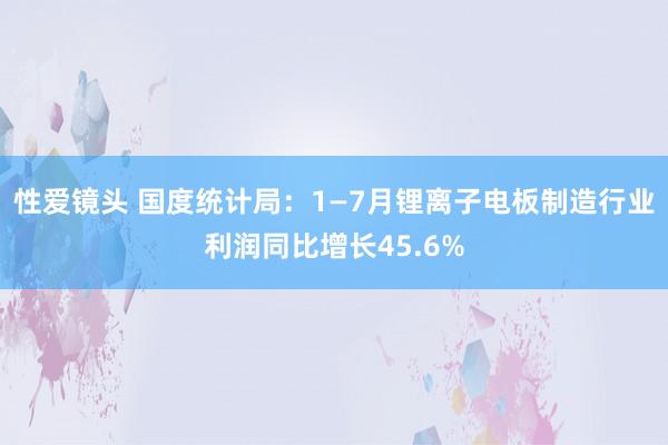 性爱镜头 国度统计局：1—7月锂离子电板制造行业利润同比增长45.6%