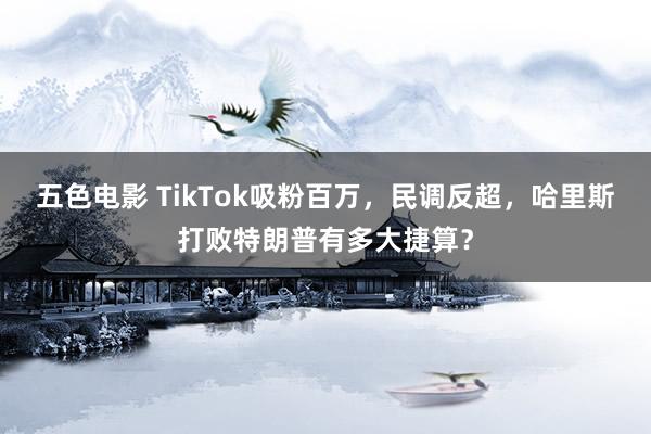 五色电影 TikTok吸粉百万，民调反超，哈里斯打败特朗普有多大捷算？