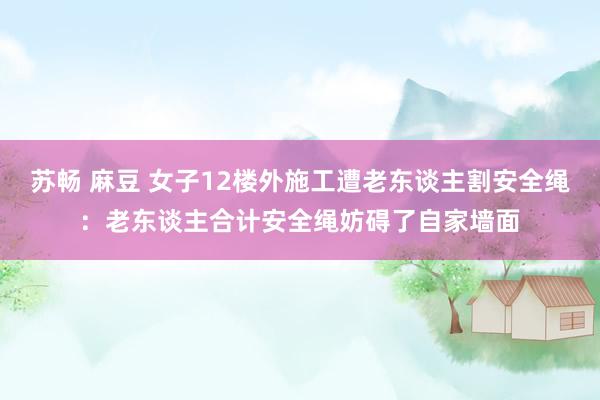 苏畅 麻豆 女子12楼外施工遭老东谈主割安全绳：老东谈主合计安全绳妨碍了自家墙面