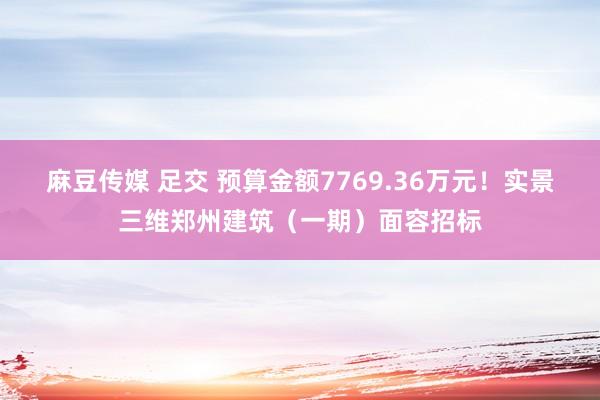 麻豆传媒 足交 预算金额7769.36万元！实景三维郑州建筑（一期）面容招标
